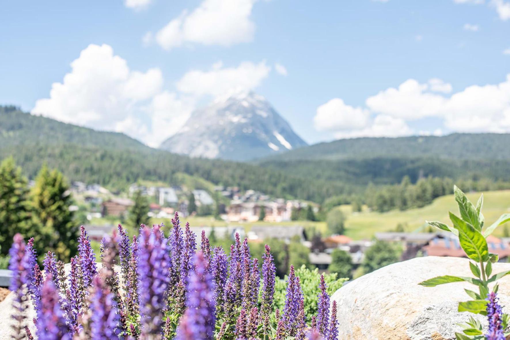 Gotthard - Fine Living Apartments Seefeld in Tirol Dış mekan fotoğraf